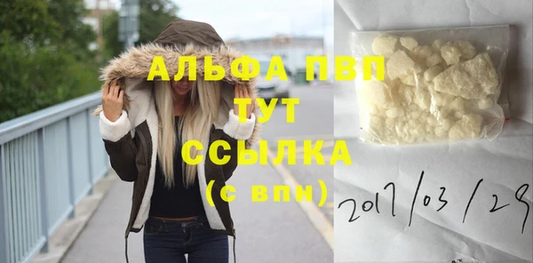 винт Алексин